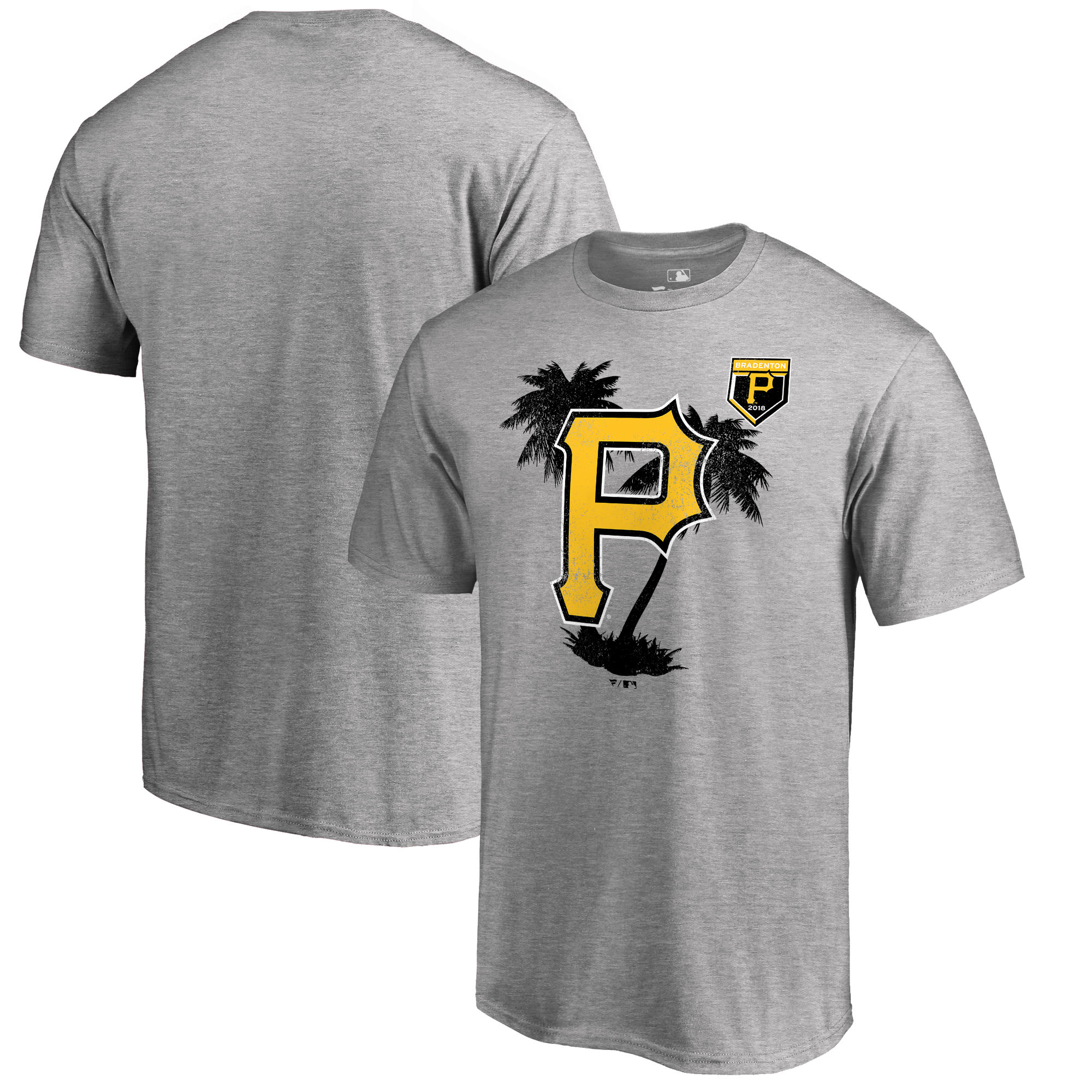 Men's Pittsburgh Pirates Fanatics Branded 2018 MLB Spring Training Vintage T-Shirt ?C Heather Gray